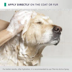 Hydra Flash Thermo Active Mask - 30.4 Ounce 10 Hydra Flash Thermo Active Mask - 30.4 Ounce -Cherrybrook Sales 2024 01 HY06 01 E 42264.1701284603