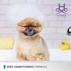 Hydra Flash Thermo Active Mask - 30.4 Ounce 11 Hydra Flash Thermo Active Mask - 30.4 Ounce -Cherrybrook Sales 2024 01 HY06 01 F 54322.1701284615