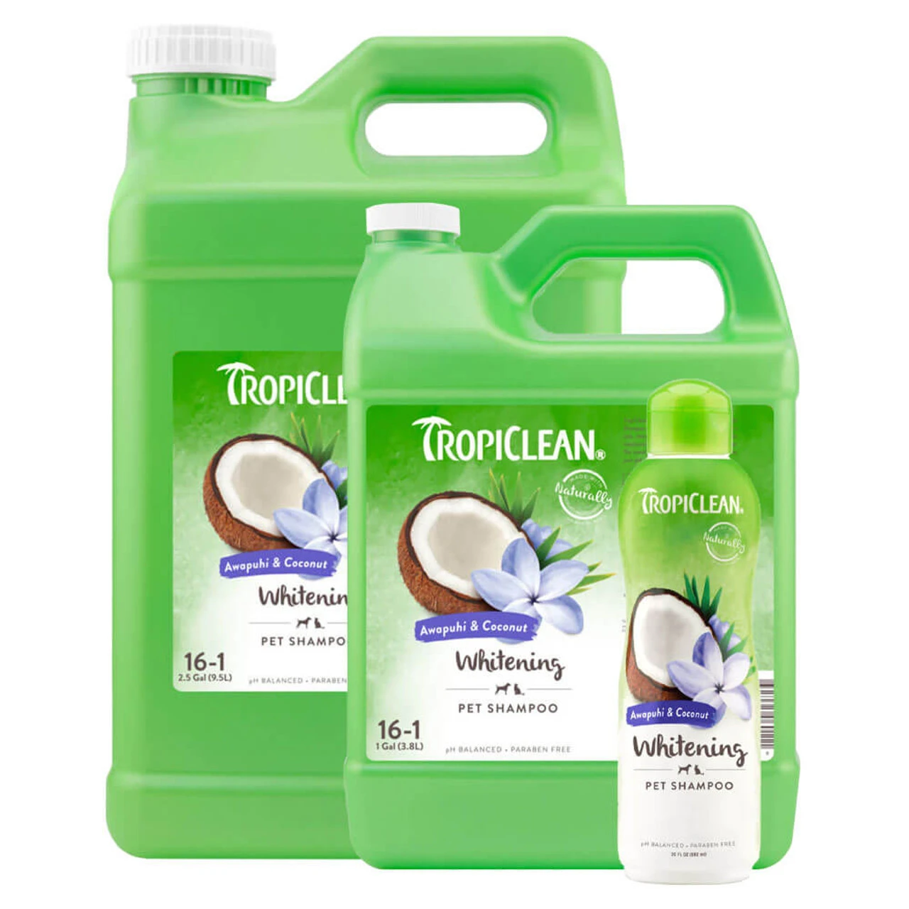 TropiClean Awapuhi & Coconut Whitening Shampoo For Pets 1 TropiClean Awapuhi & Coconut Whitening Shampoo For Pets