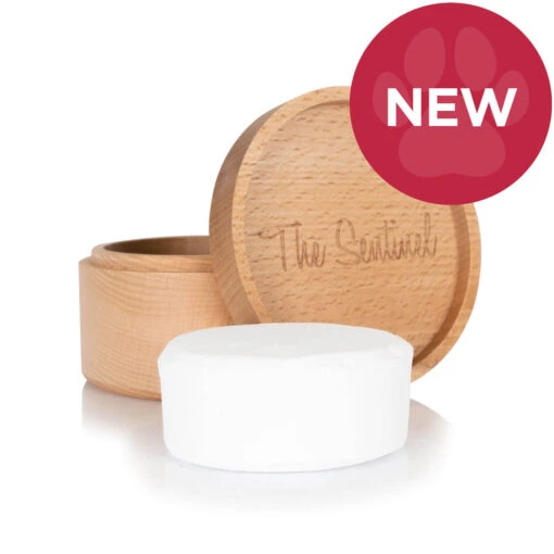 The Sentinel H11 Super White Chalk Block -Cherrybrook Sales 2024 02 TS01 W 54687.1682712187