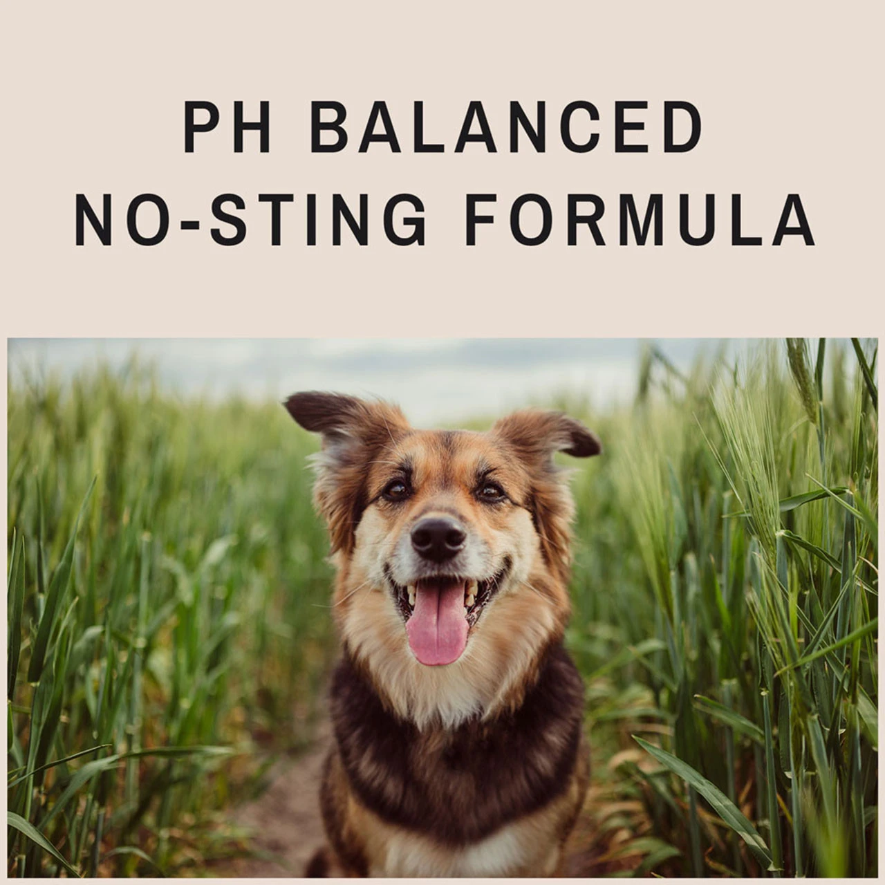 Eye Envy On The Spot Healing And Itch Relief Spray 4oz 6 Eye Envy On The Spot Healing And Itch Relief Spray 4oz - Image 6