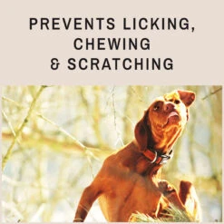 Eye Envy On The Spot Healing And Itch Relief Spray 4oz 19 Eye Envy On The Spot Healing And Itch Relief Spray 4oz -Cherrybrook Sales 2024 05 341 04 d 24023.1692033395