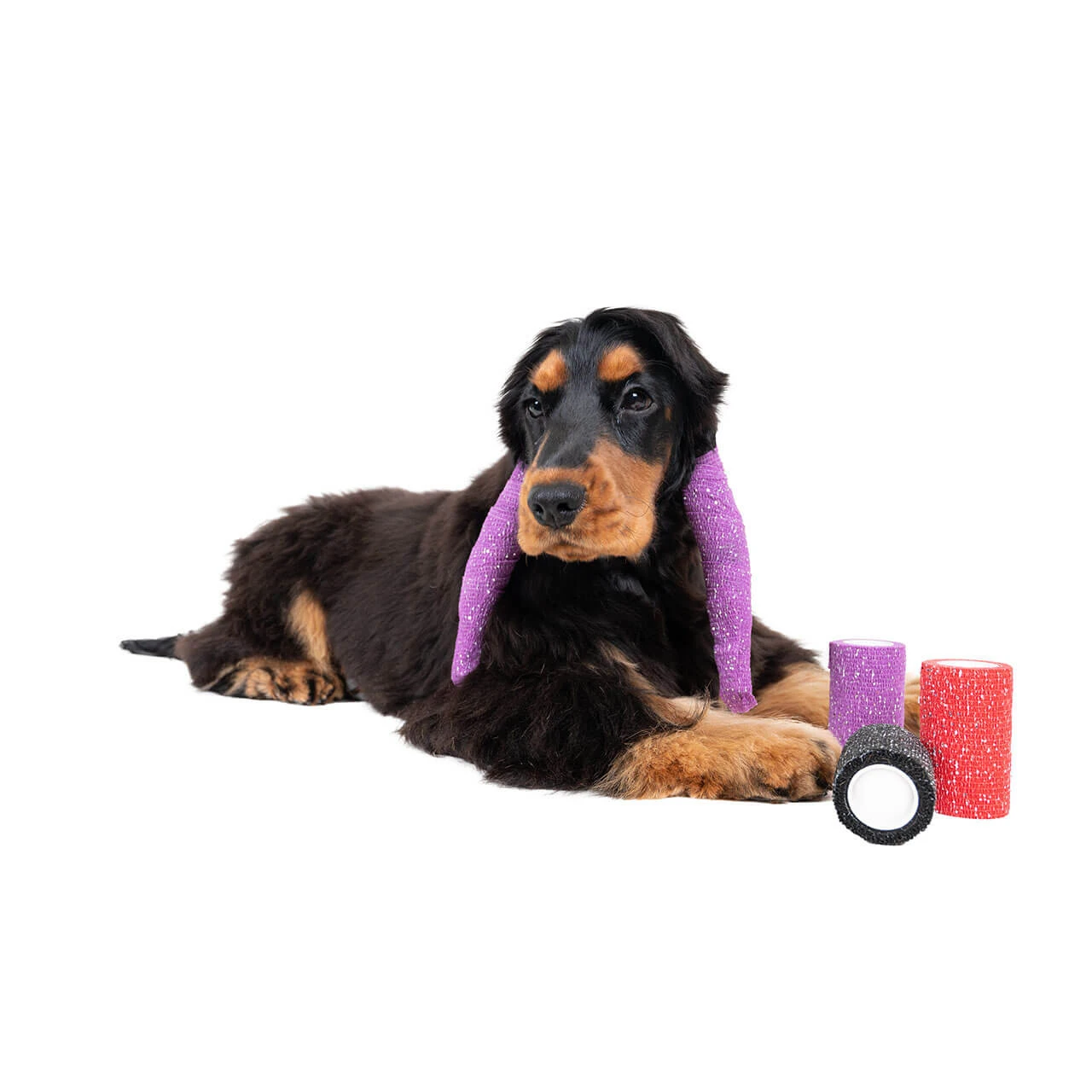 Show Tech Self-Cling Bandages - 15' X 3" 2 Show Tech Self-Cling Bandages - 15' X 3" - Image 2