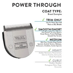 Wahl Non Adjustable 10 Blade 9 Wahl Non Adjustable 10 Blade -Cherrybrook Sales 2024 09 303 10 power through 46919.1652120321