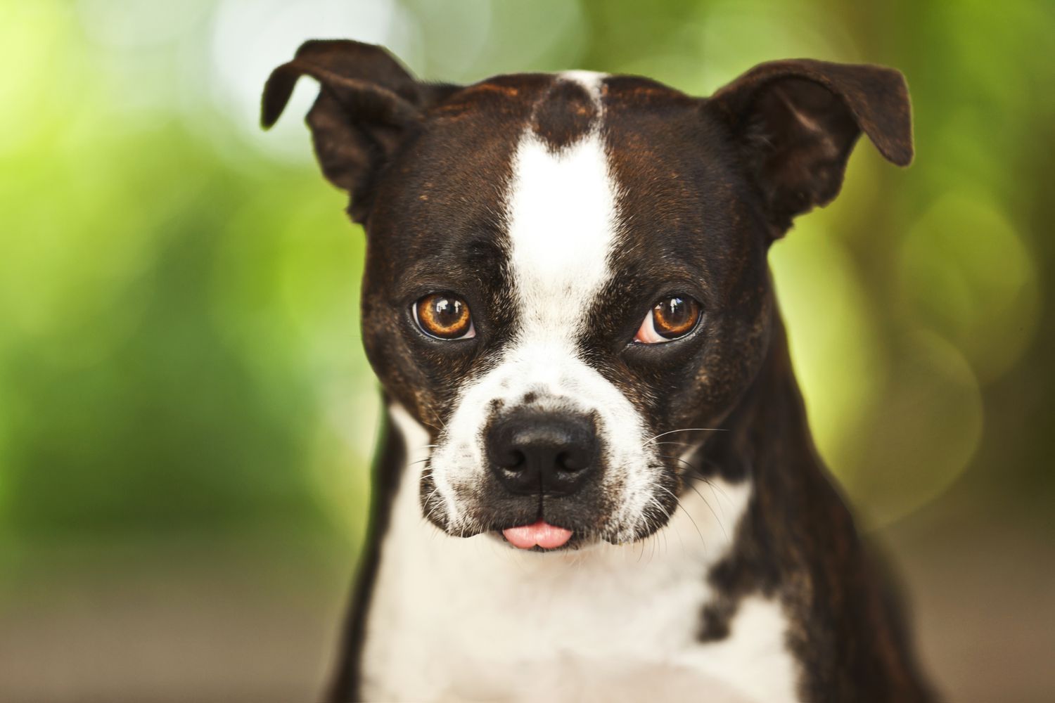 Cherrybrook Sales 2024 -Cherrybrook Sales 2024 139