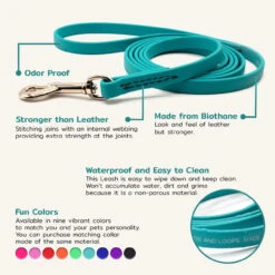 Jelly Pet Standard Dog Leash -Cherrybrook Sales 2024 1568 JellyPet Leash Infograph 1 63514.1690995009