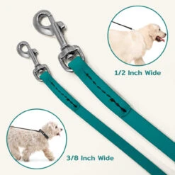 Jelly Pet Standard Dog Leash -Cherrybrook Sales 2024 1568 JellyPet Leash Infograph 3 11221.1690995045