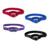 PetSafe Premier Martingale Collar