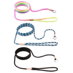 Alvalley Nylon Slip Leads - 6 Foot