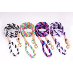 Alvalley Nylon Snap Leads – 6ft