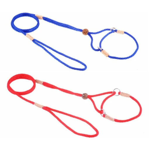 Alvalley Nylon Martingale Show Leads - 8 Inch -Cherrybrook Sales 2024 24 J00 8 96239.1620408765