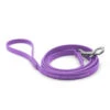 Jelly Pet Standard Dog Leash