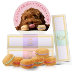 Bonne Et Filou's Strawberry, Lavender, And Mint Dog Macaron Combo Pack - 18 Treats