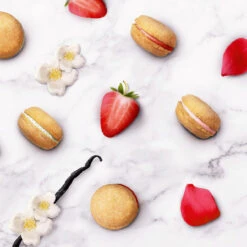 Bonne Et Filou Strawberry, Rose, And Vanilla Dog Macaron Combo Pack - 18 Treats 14 Bonne Et Filou Strawberry, Rose, And Vanilla Dog Macaron Combo Pack - 18 Treats -Cherrybrook Sales 2024 25 BF04 01 7 25306.1694805743