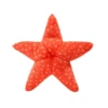 Fluff And Tuff Ziggy Starfish 12" Dog Toy