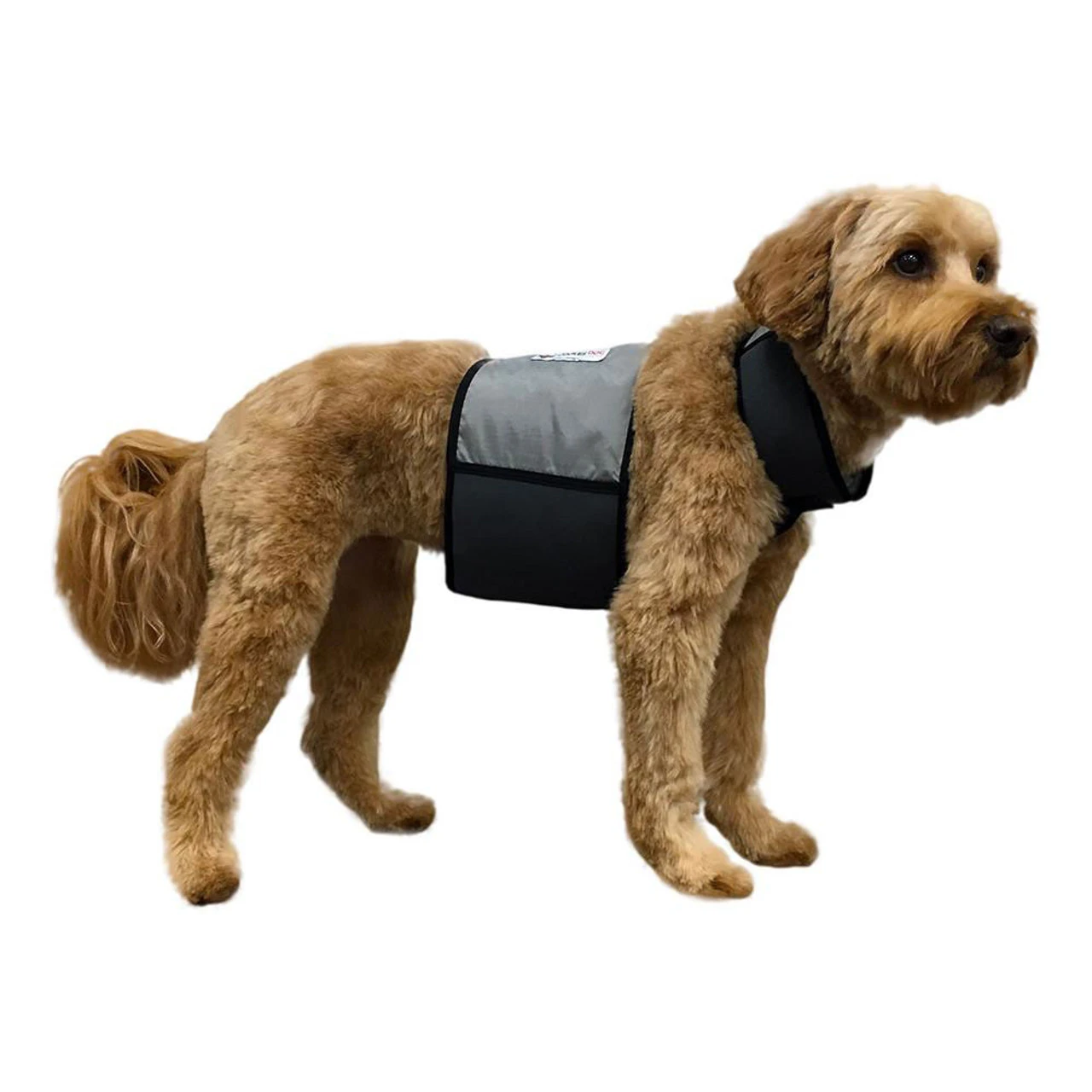 Cooler Dog Cooling Vest And Collar 7 Cooler Dog Cooling Vest And Collar - Image 7
