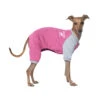 Canada Pooch Frosty Fleece Sweatsuit In Raspberry