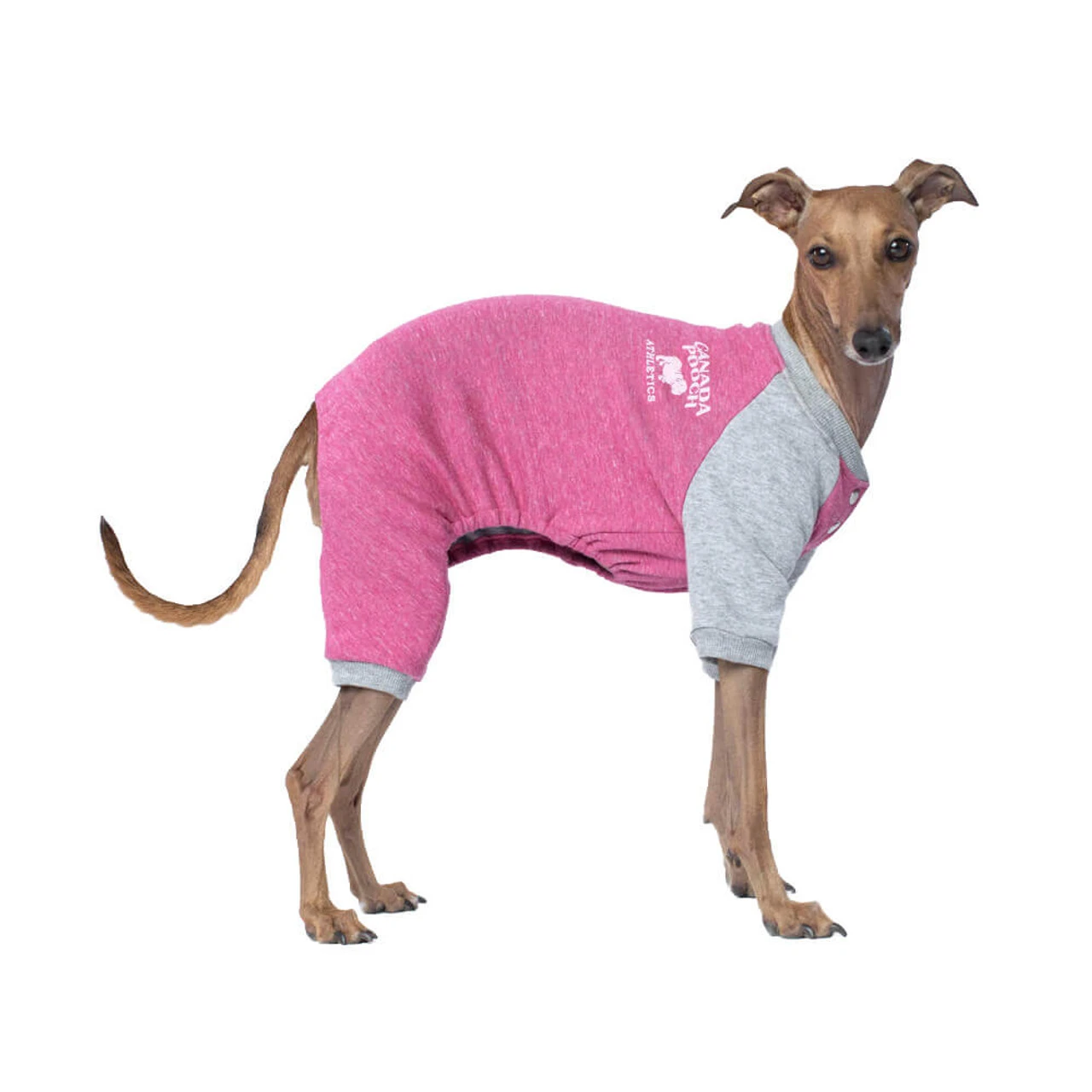 Canada Pooch Frosty Fleece Sweatsuit In Raspberry 1 Canada Pooch Frosty Fleece Sweatsuit In Raspberry
