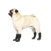 Canada Pooch Slouchy Socks In Black