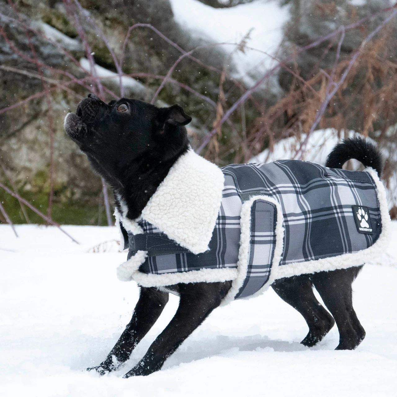 Shedrow K9 Aspen Charcoal Plaid Dog Coat - XLarge 1 Shedrow K9 Aspen Charcoal Plaid Dog Coat - XLarge