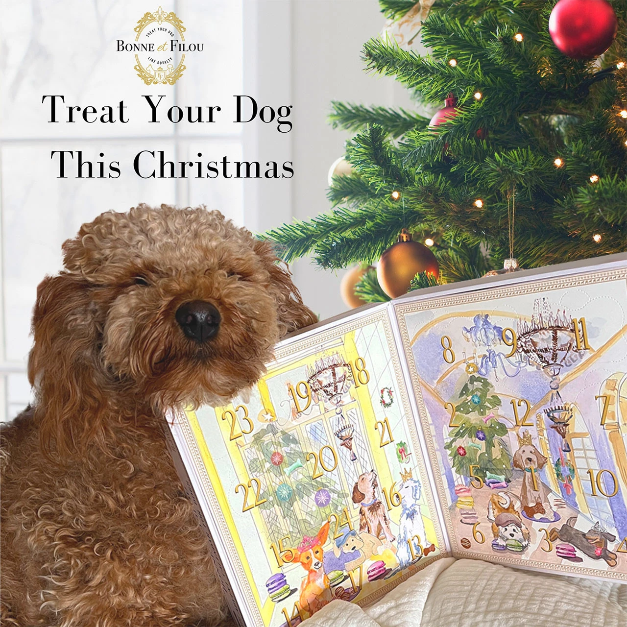 Bonne Et Filou Dog Treat Holiday Advent Calendar - 24 Treats 7 Bonne Et Filou Dog Treat Holiday Advent Calendar - 24 Treats - Image 7