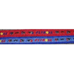 Flyball Collar And Lead Set
