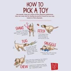 Fluff And Tuff Tiny T-Rex 8" Dog Toy 3 Fluff And Tuff Tiny T-Rex 8" Dog Toy -Cherrybrook Sales 2024 A FLUFF AND TUFF 48795.1635527333