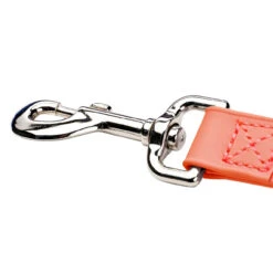 Champagne By Chris Christensen Belly Loops 32 Champagne By Chris Christensen Belly Loops -Cherrybrook Sales 2024 CCS Champagne BellyLoop Hardware Coral 88543.1687351734