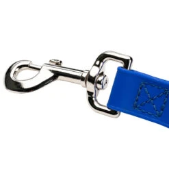 Champagne By Chris Christensen Belly Loops 38 Champagne By Chris Christensen Belly Loops -Cherrybrook Sales 2024 CCS Champagne BellyLoop Hardware Royal 63185.1687351799