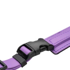 Champagne By Chris Christensen Belly Loops 27 Champagne By Chris Christensen Belly Loops -Cherrybrook Sales 2024 CCS Champagne BellyLoopBuckle Amethyst 62536.1687351674