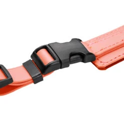 Champagne By Chris Christensen Belly Loops 33 Champagne By Chris Christensen Belly Loops -Cherrybrook Sales 2024 CCS Champagne BellyLoopBuckle Coral 84880.1687351741