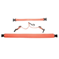 Champagne By Chris Christensen Belly Loops 31 Champagne By Chris Christensen Belly Loops -Cherrybrook Sales 2024 CCS Champagne FullBellyLoop FlatLay Coral 93536.1687351726