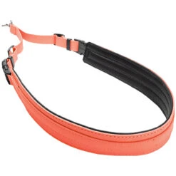 Champagne By Chris Christensen Belly Loops 30 Champagne By Chris Christensen Belly Loops -Cherrybrook Sales 2024 CCS Champagne LargeBellyBand Angle Coral 32995.1687351716