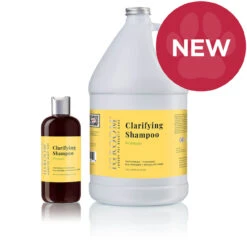 IGroom Clarifying Shampoo - PineApple Scent