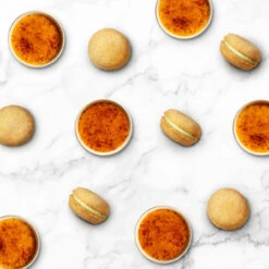 Bonne Et Filou French Dog Macarons - 6 Treats 22 Bonne Et Filou French Dog Macarons - 6 Treats -Cherrybrook Sales 2024 Creme Brulee Banner 87405.1694786584