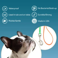 Jelly Pet Standard Dog Leash -Cherrybrook Sales 2024 JellyPet Infograph 14418.1690995060