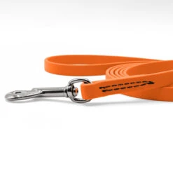 Jelly Pet Standard Dog Leash -Cherrybrook Sales 2024 JellyPet Leash CloseUp HunterOrange 84275.1690995182