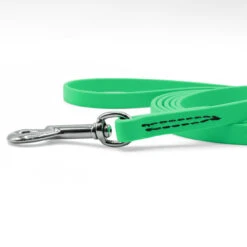 Jelly Pet Standard Dog Leash -Cherrybrook Sales 2024 JellyPet Leash CloseUp LimeGreen 51735.1690995208