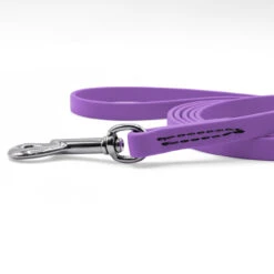 Jelly Pet Standard Dog Leash -Cherrybrook Sales 2024 JellyPet Leash CloseUp Purple 14385.1690994929