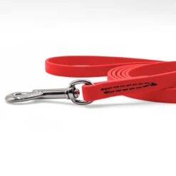 Jelly Pet Standard Dog Leash -Cherrybrook Sales 2024 JellyPet Leash CloseUp Red 75695.1690994944