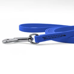 Jelly Pet Standard Dog Leash -Cherrybrook Sales 2024 JellyPet Leash CloseUp RoyalBlue 57238.1690995190