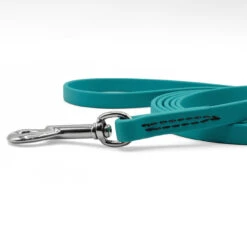 Jelly Pet Standard Dog Leash -Cherrybrook Sales 2024 JellyPet Leash CloseUp Teal 49306.1690994950
