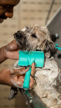 Jelly Pet Universal Slicker Brush -Cherrybrook Sales 2024 Jelly Pet Firm Slicker Brush 93887 43558.1670592523