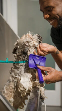 Jelly Pet Universal Slicker Brush -Cherrybrook Sales 2024 Jelly Pet Soft Universal Slicker Brush 11202 16819.1670592535