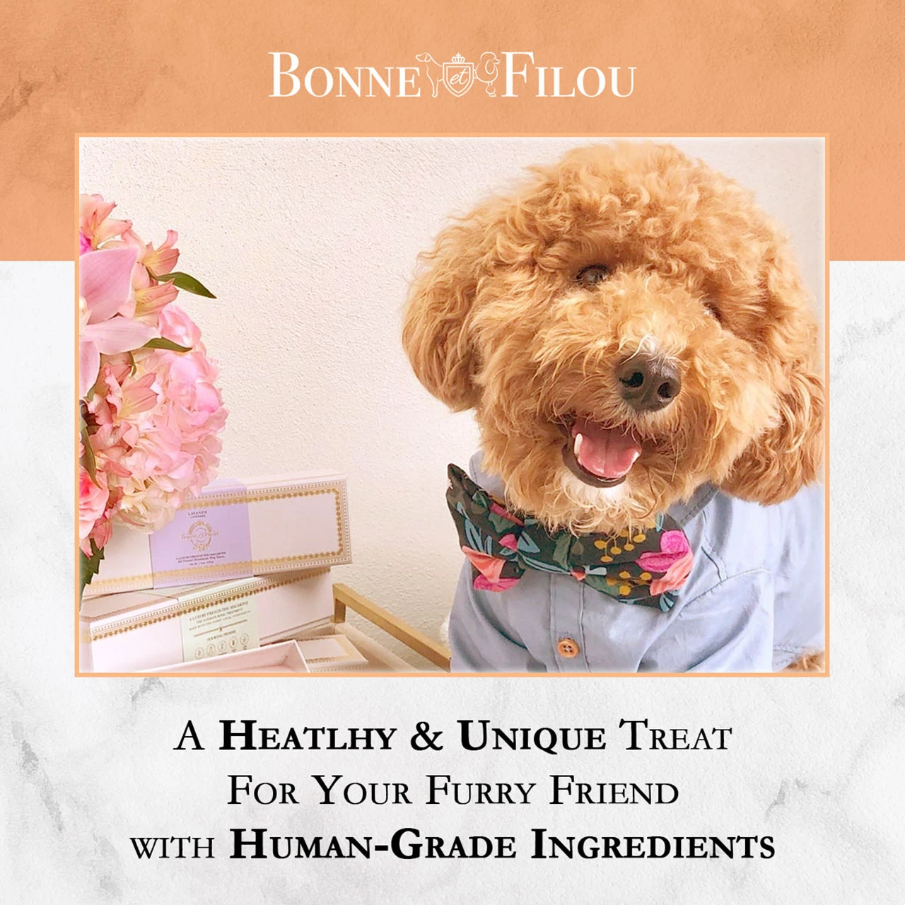 Bonne Et Filou French Dog Macarons - 6 Treats 3 Bonne Et Filou French Dog Macarons - 6 Treats - Image 3