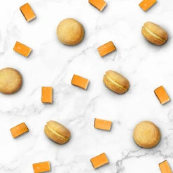 Bonne Et Filou French Dog Macarons - 6 Treats 27 Bonne Et Filou French Dog Macarons - 6 Treats -Cherrybrook Sales 2024 Salted Caramel Banner 96541.1694786485