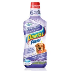 Dental Fresh Advanced Plaque And Tartar Control Formula