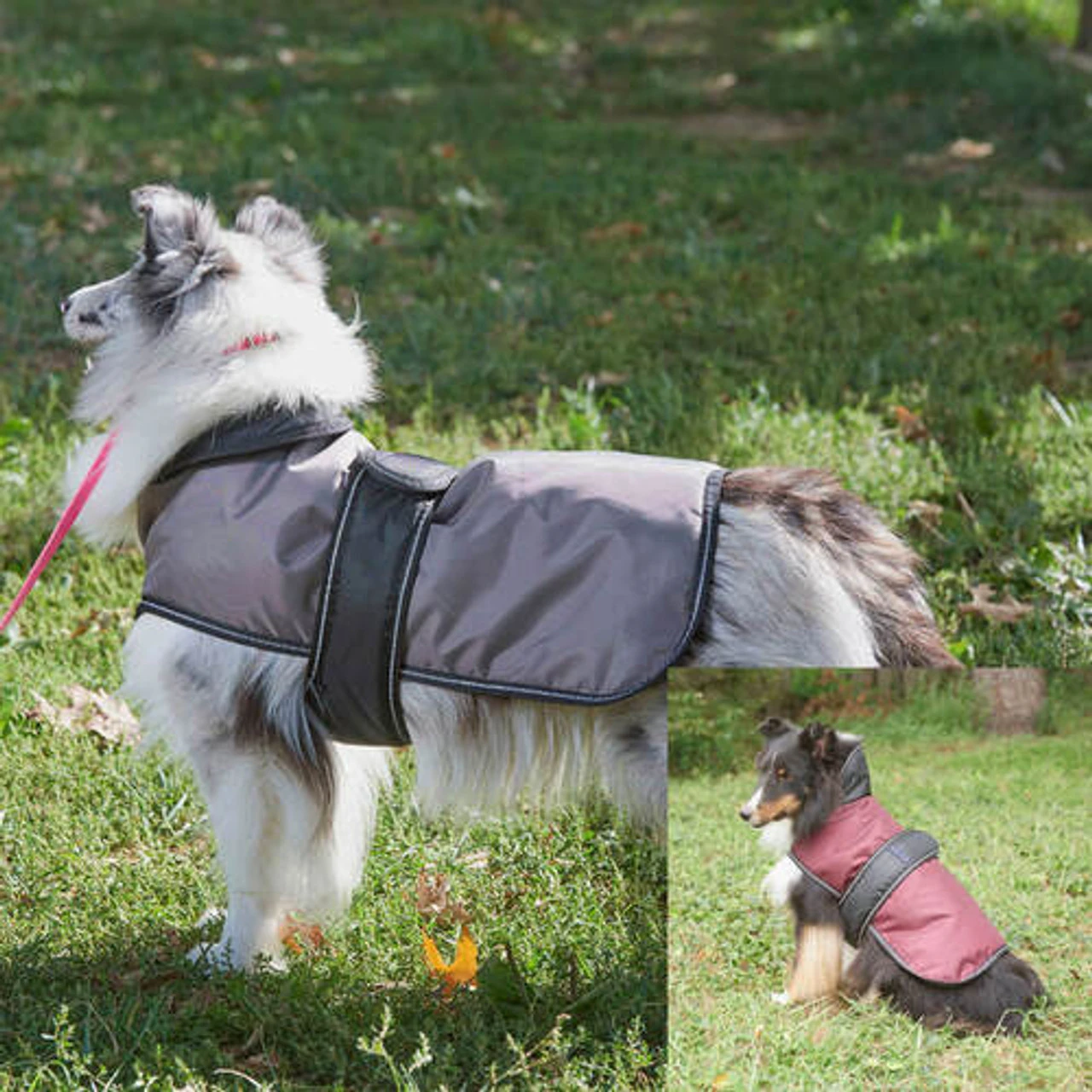 Fashion Pet Arctic Burgundy Dog Coat - Small 1 Fashion Pet Arctic Burgundy Dog Coat - Small